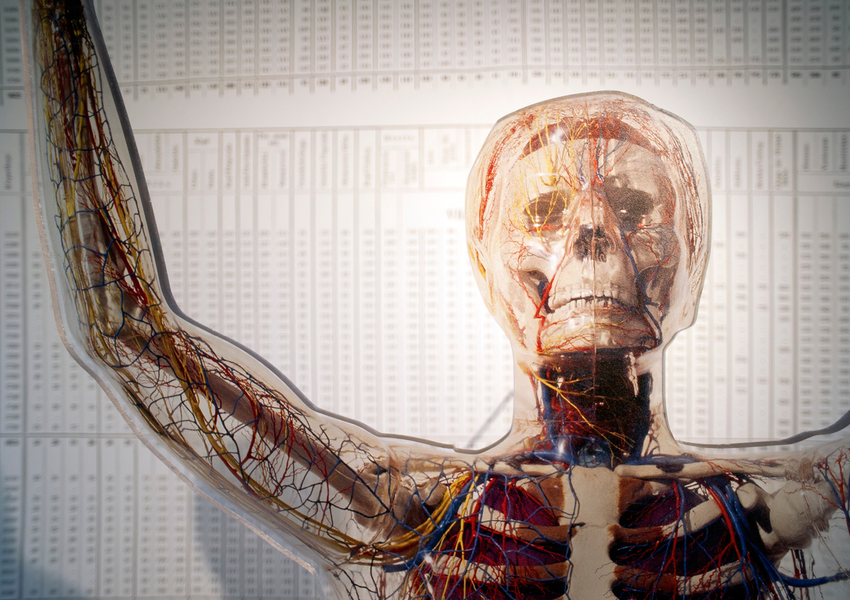 39_WERT DES LEBENS06 jpg